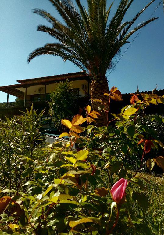 El Capitan Otel Porto Koufo Dış mekan fotoğraf